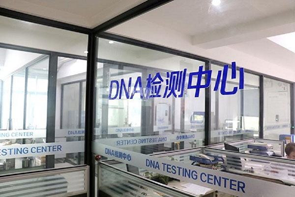 安庆DNA鉴定多少钱（揭秘DNA鉴定的实际收费标准） 